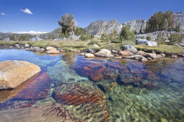 California, Inyo NF Clear stream by Garnet Lake